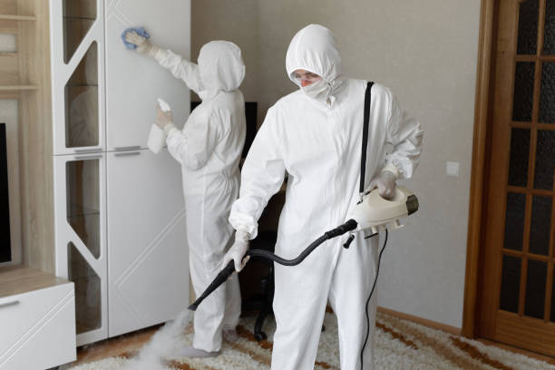 Best Professional Mold Removal  in Knoxville, IA