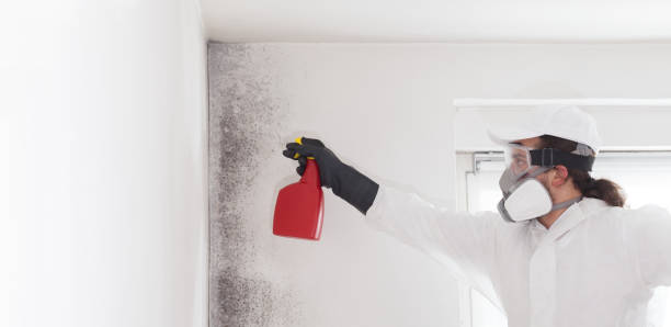 Best Crawl Space Mold Removal  in Knoxville, IA